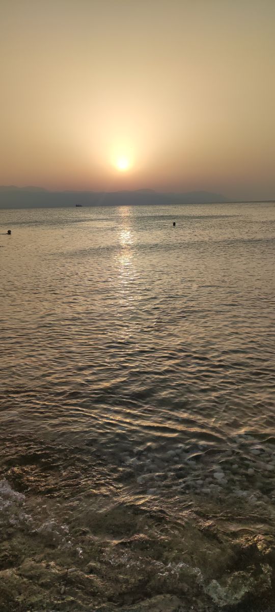 ΣΤΕΛΛΑ ΠΑΠΑΔΑ
